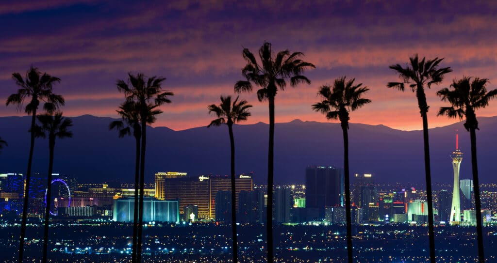 A stock photo of Las Vegas, Nevada with Palm trees in the foreground. Shot at Sunset.